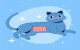 image de chat avec pansement suite à stérilisation
