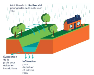 fossé a entretenir par les propriétaires-riverains