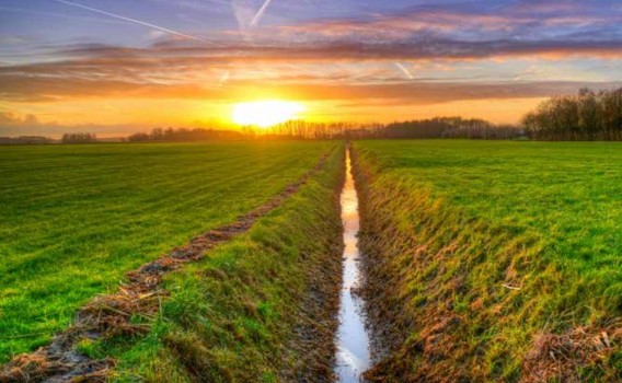 Fossé dans un champs et coucher de soleil